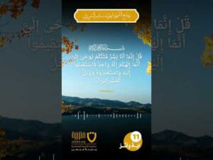 آية وأثر (11)
