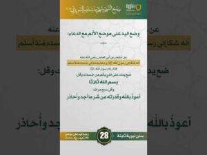 سنن نبوية ثابتة | الحلقة (28)