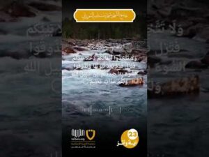 آية وأثر (23)