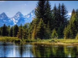 سورة نوح   علي بشير   البحرين 1437