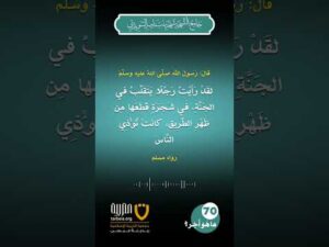 (70) ما هو أجر إزالة الأذى من طرق المسلمين؟